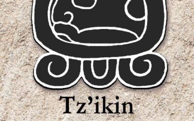 FECHAS DE NAWAL TZ’IK’IN