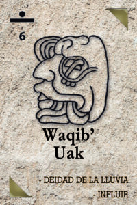 Número 6